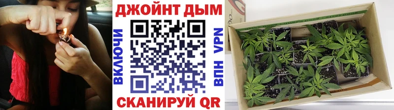 Бошки Шишки Ganja Асино